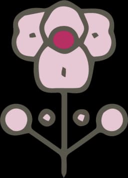 תהליך העיבוד - שלב 2